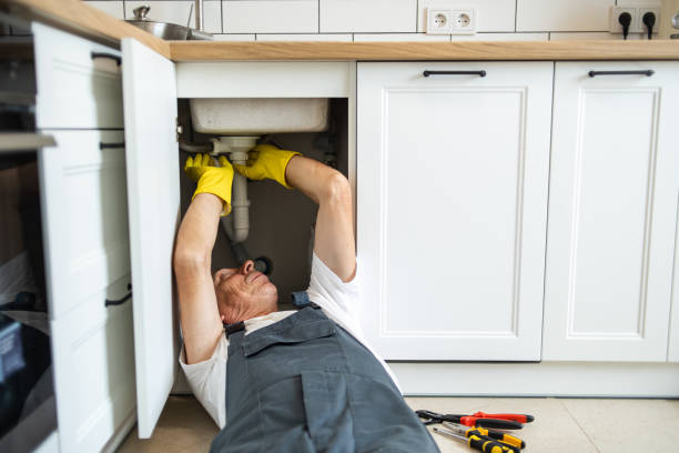 Best Clogged Drain Plumber  in Carlinvle, IL