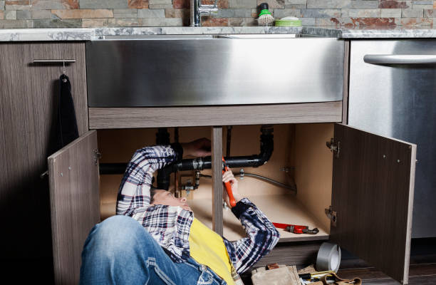 Best Plumbing Inspection Services  in Carlinvle, IL